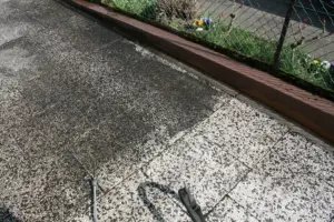 flächenreinigung-steinplatten flächenreinigung-steinplatten