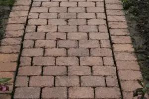 flächenreinigung-weg-gepflastert flächenreinigung-weg-gepflastert