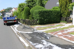 unkrautbekämpfung-einfahrt
