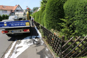 unkrautentfernung-gehweg